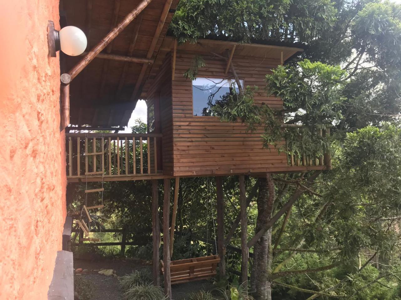Santa Elena De La Colina Villa Filandia Ngoại thất bức ảnh